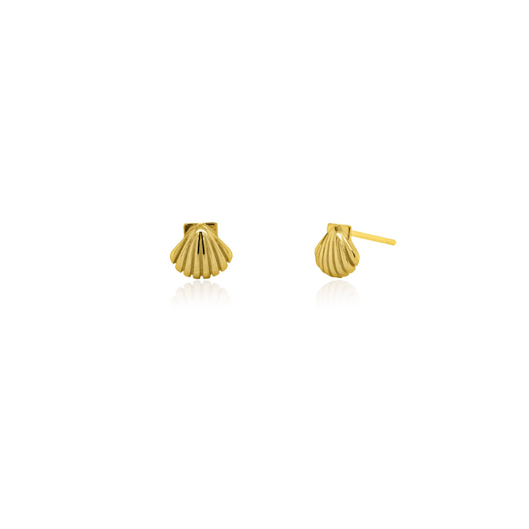 Sterling Silver Seashell Stud Earrings