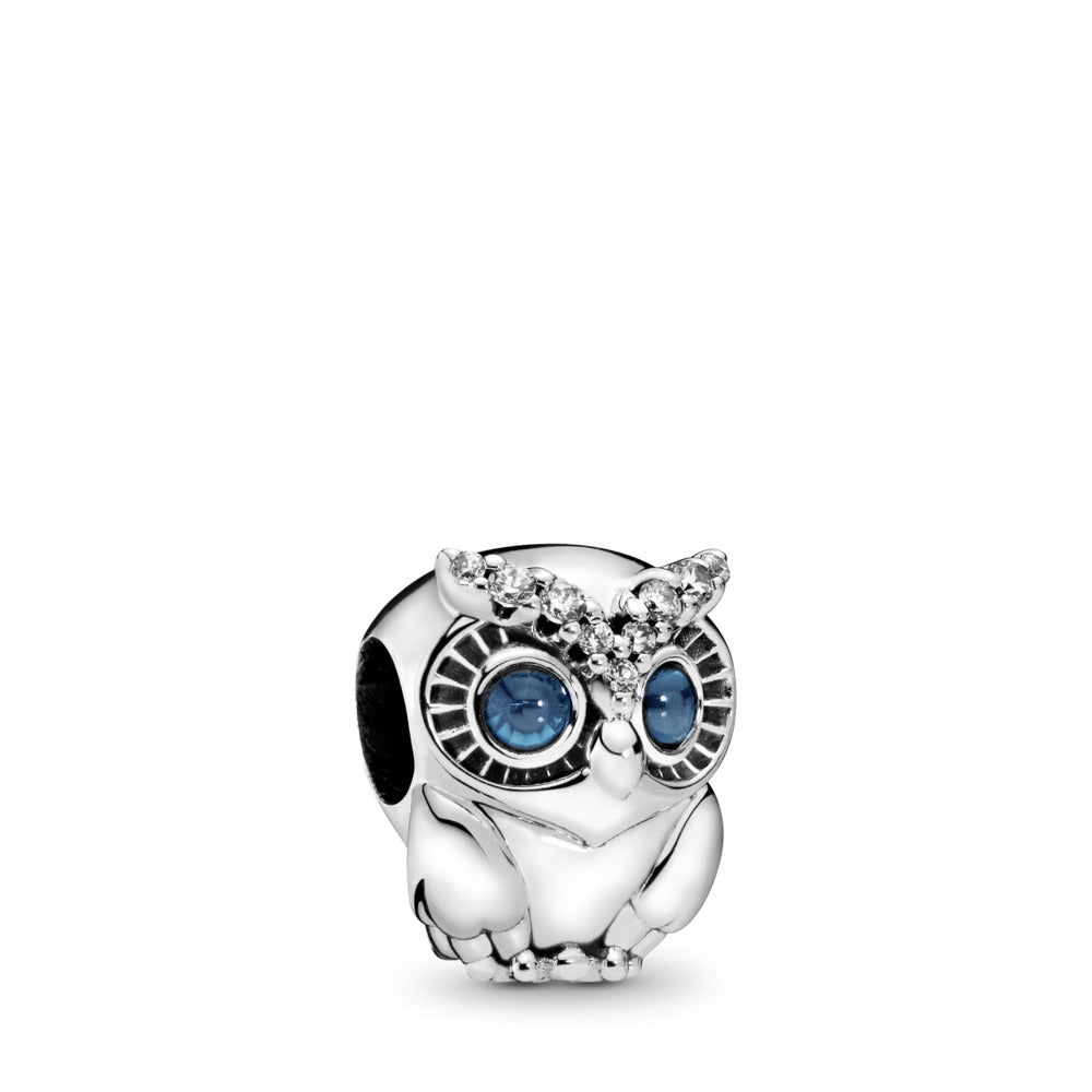 Sparkling Owl Charm