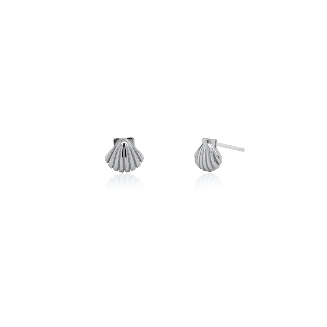 Sterling Silver Seashell Stud Earrings
