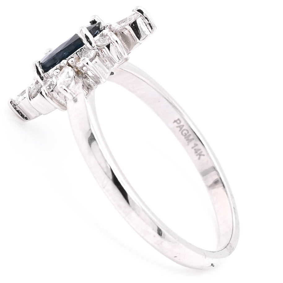 14KT White Gold Sapphire and Diamond Ring.