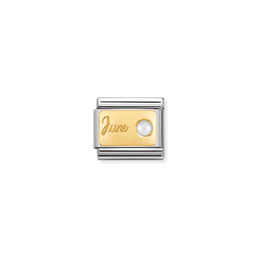 Composable Classic MONTH STONE in steel, stones and 18k gold 06_June W