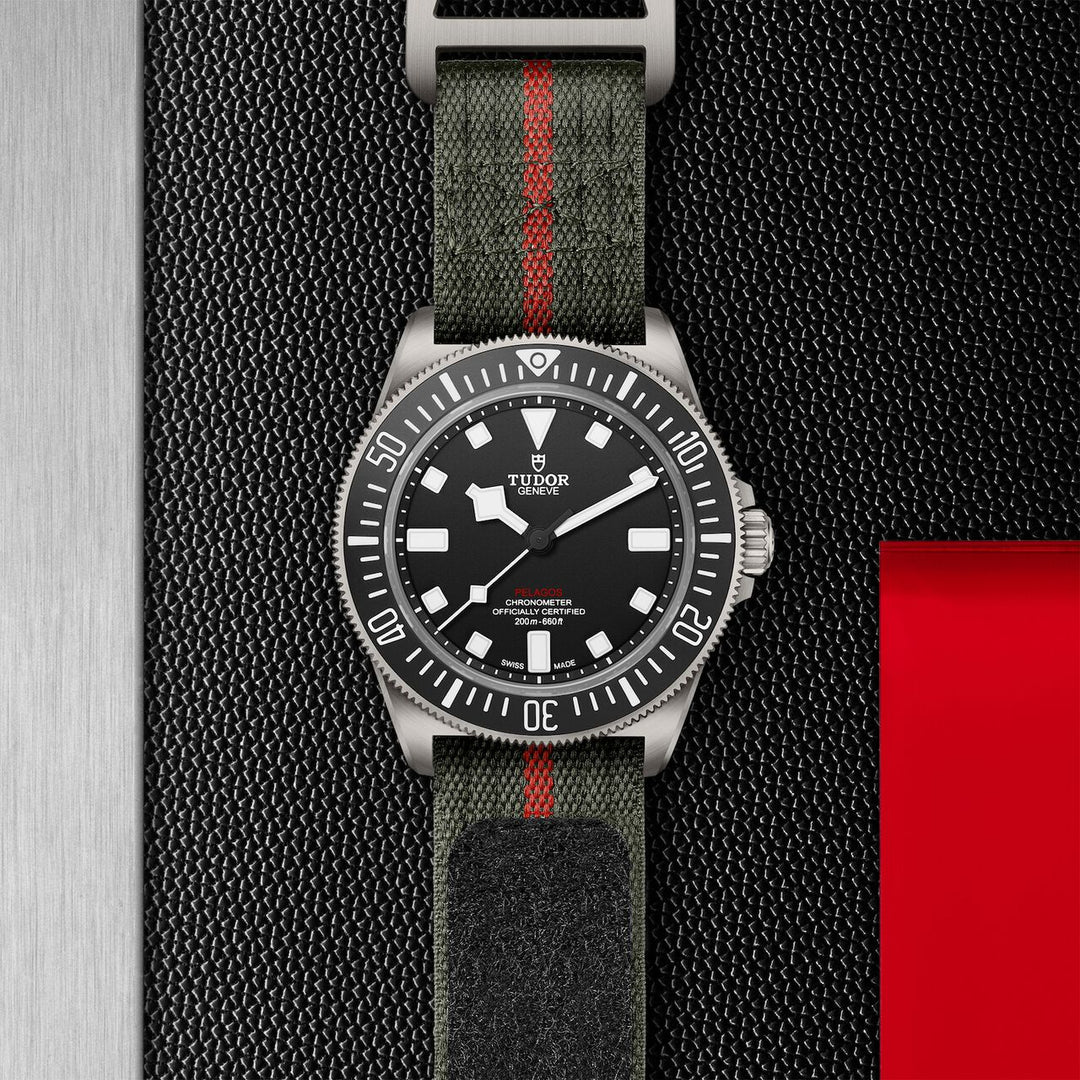 Tudor Pelagos FXD 42mm Watch - M25717N-0001