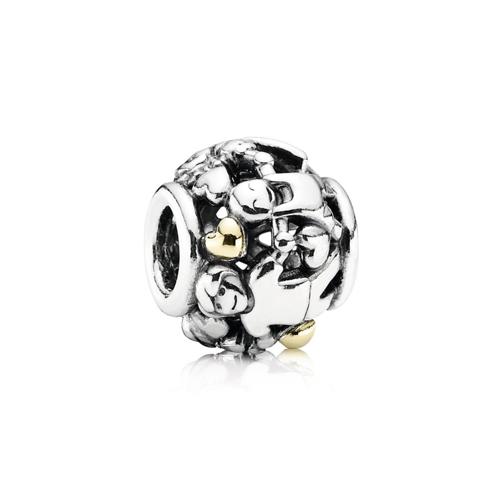 Pandora Family Forever Charm.