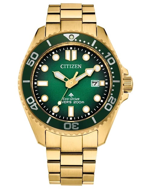 Citizen Promaster Dive 41mm Eco-Drive Watch BN0262-59W