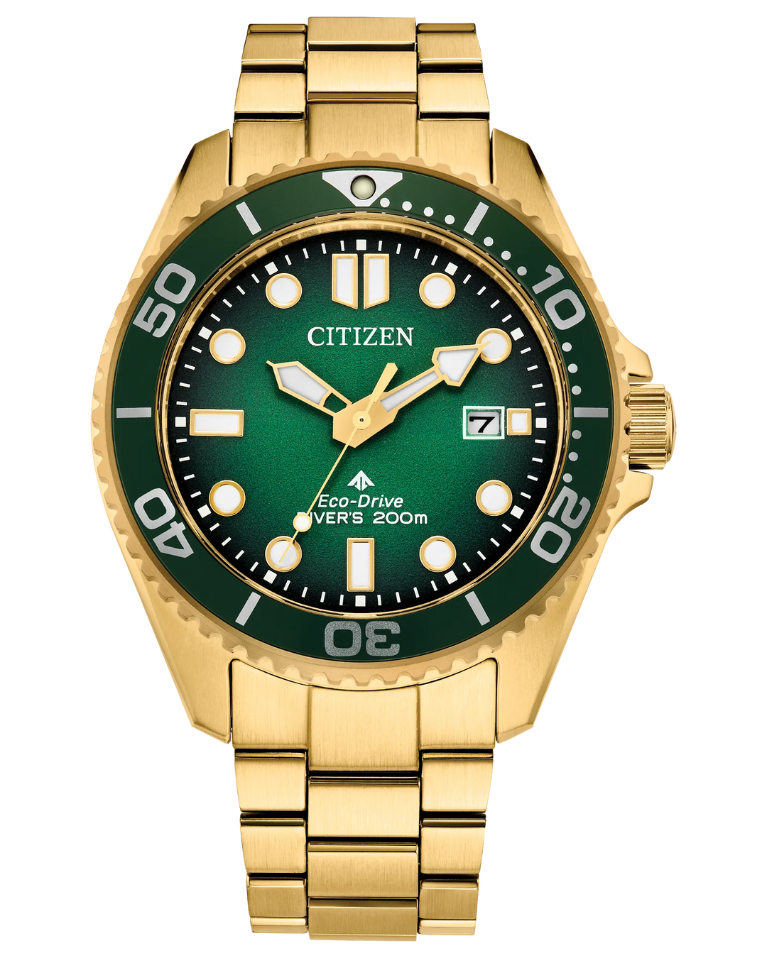 Citizen Promaster Dive 41mm Eco-Drive Watch 