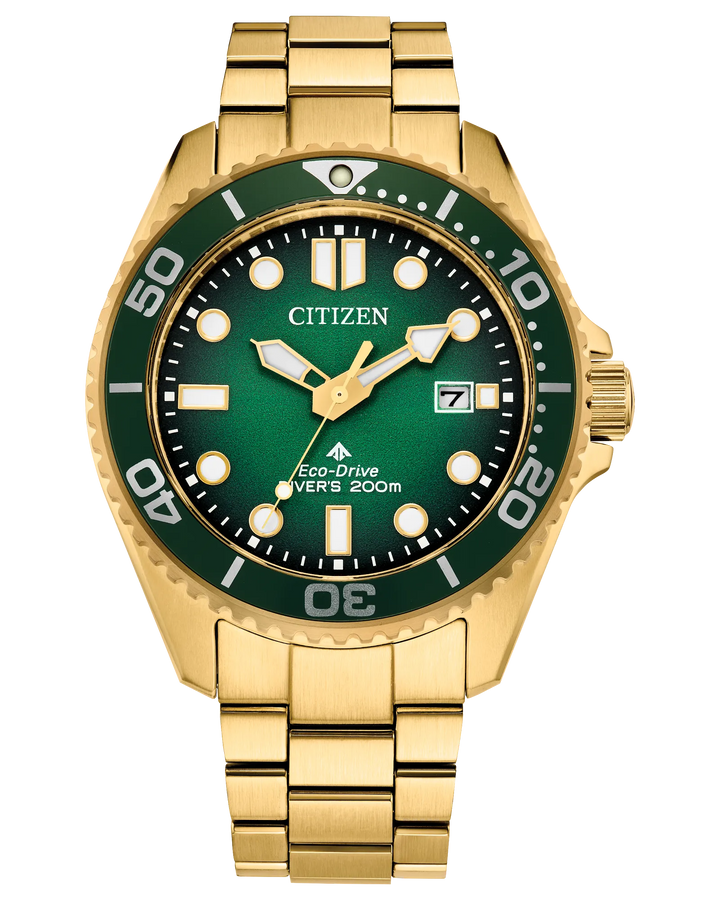 Citizen Promaster Dive 41mm Eco-Drive Watch 