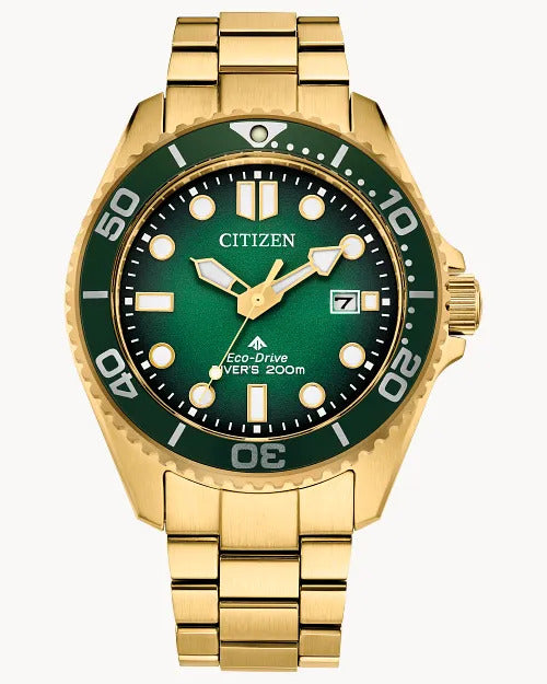 Citizen Promaster Dive 41mm Eco-Drive Watch 