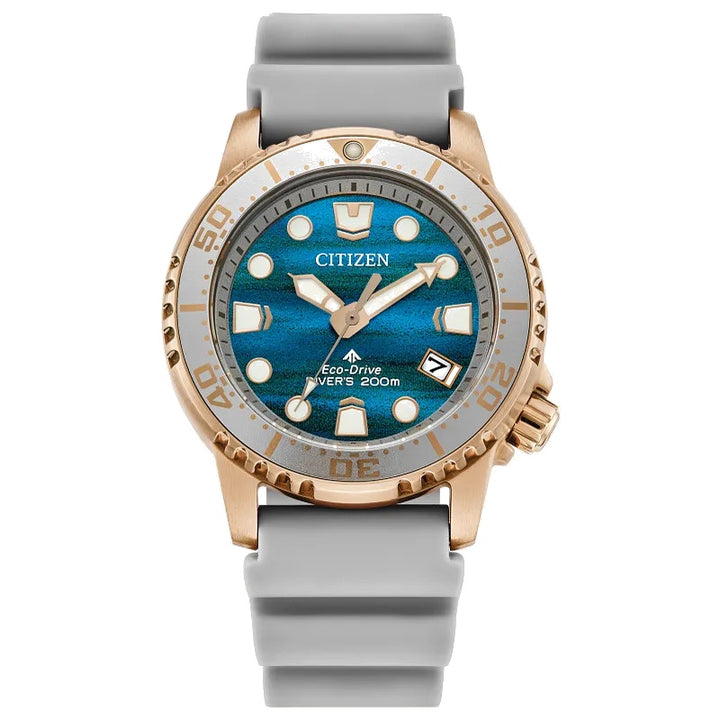 Citizen Promaster Dive 36.5mm Eco-Drive Stainless Steel Watch 