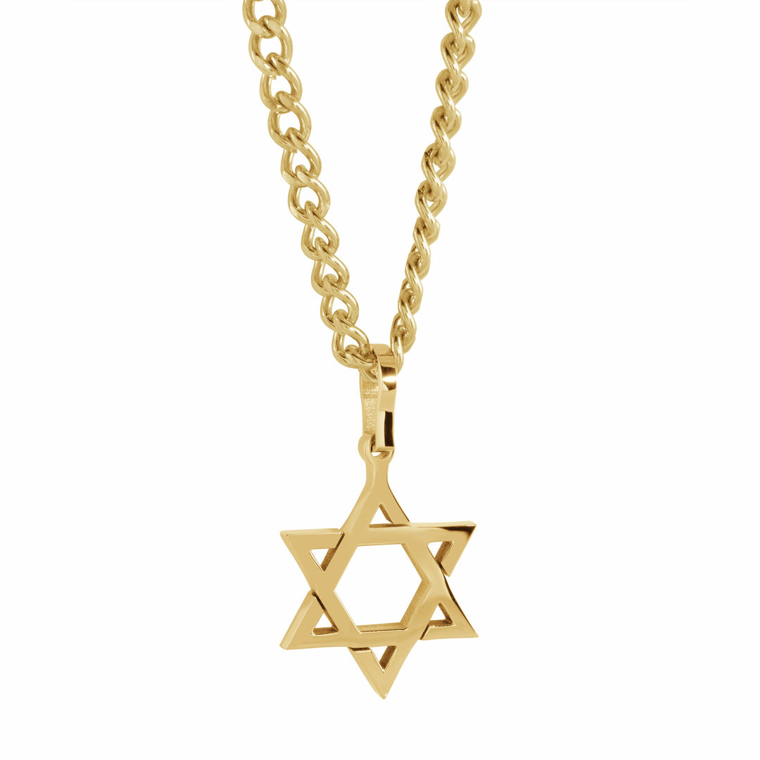 Italgem Steel Gold IP 20" Classic Star Of David Pendant