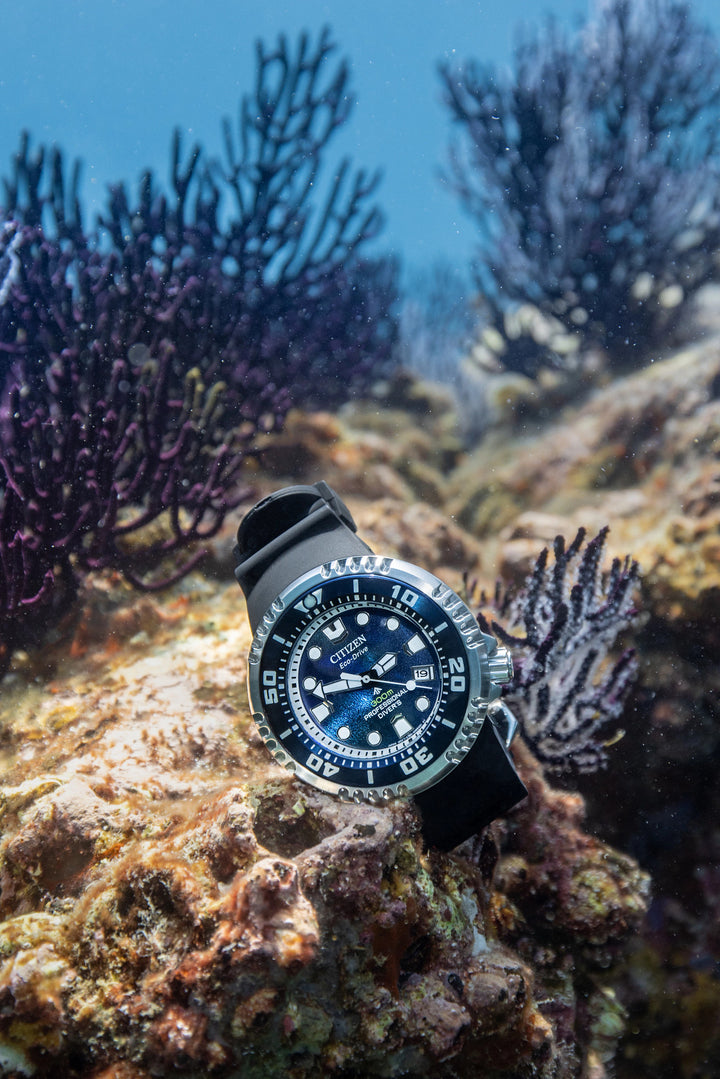 Citizen Promaster Dive E365 46mm Eco-Drive Watch. BN1025-08L