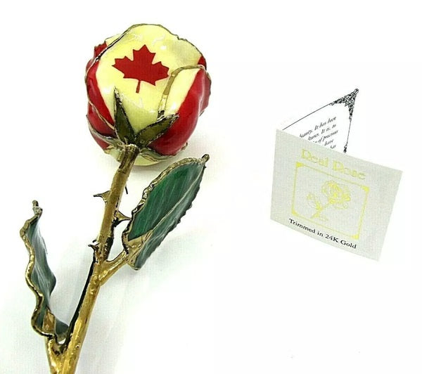 graziella 24KT Yellow Gold Plated Rose with Enamel Canadian Flag